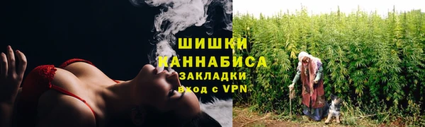 стаф Вязники