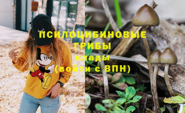 стаф Бронницы