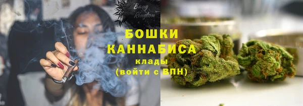 стаф Вязники
