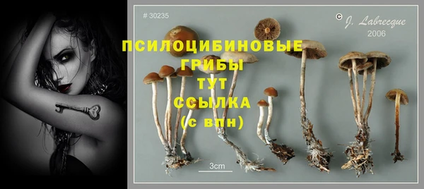 стаф Вязники